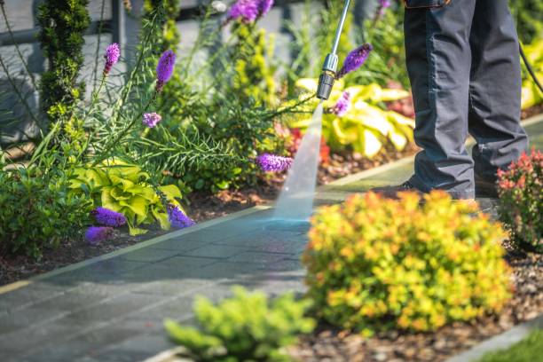 Trusted Santa Rosa, NM Pressure Washing Services Experts